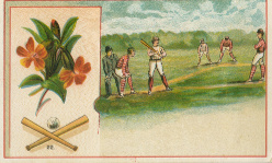 Baseball advertising trade card #206