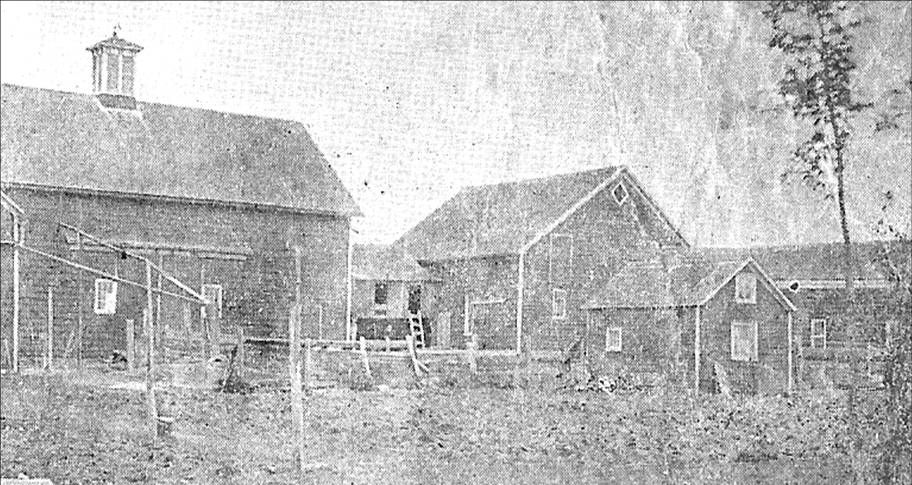 1901 photo of the Flint House barnyard.