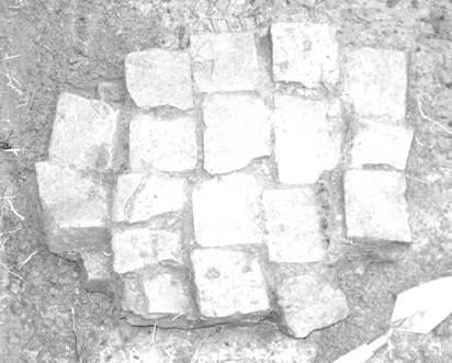 Top brick course in a vaguely oval arrangement from the Flint House archaeological excavation in porch square J3