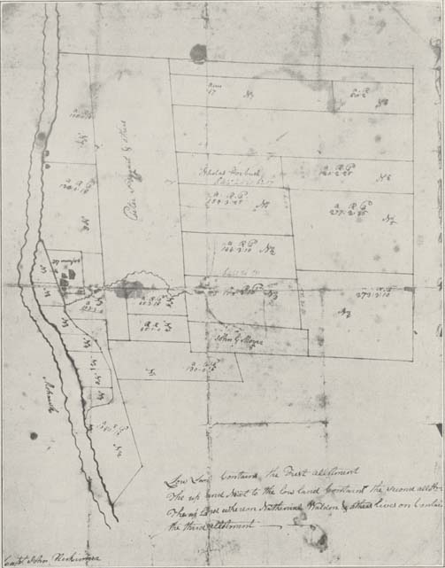 Map of Map of the Lindsay and Livingston Patent in the Town of Danube